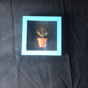 Sun Flower Pot In A Box